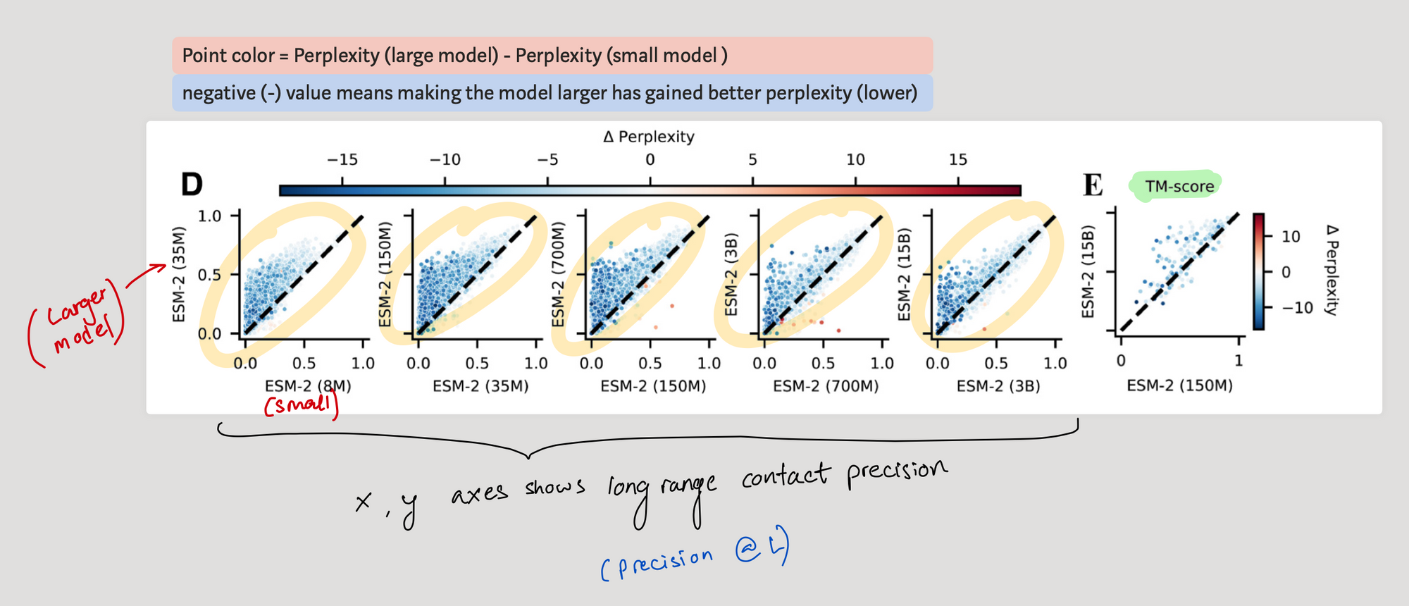 Scatter plots comparing long-range contact precision across ESM-2 model sizes