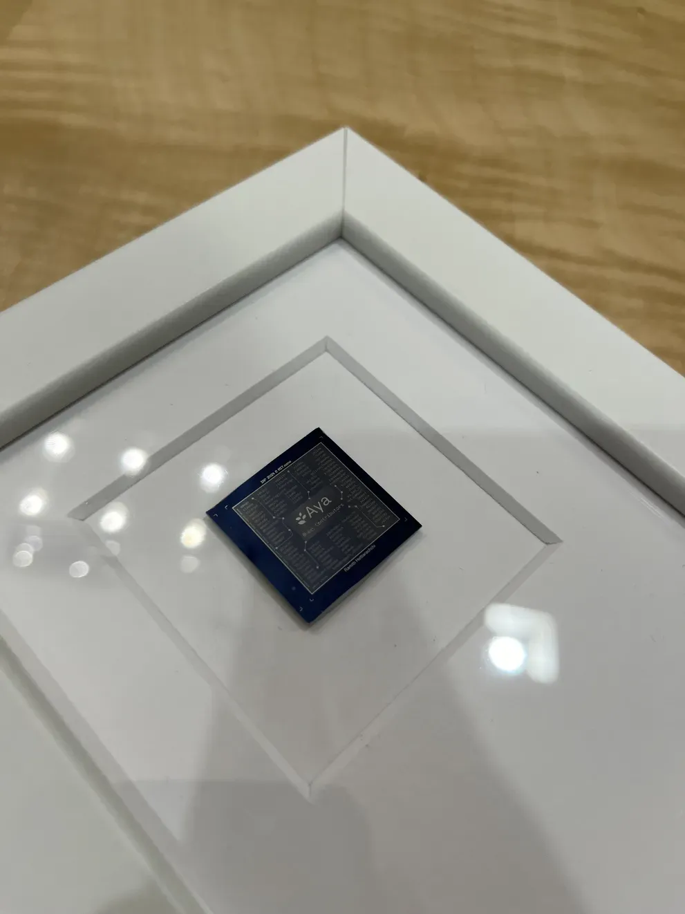 Another view of the Aya Sinhala contributors chip